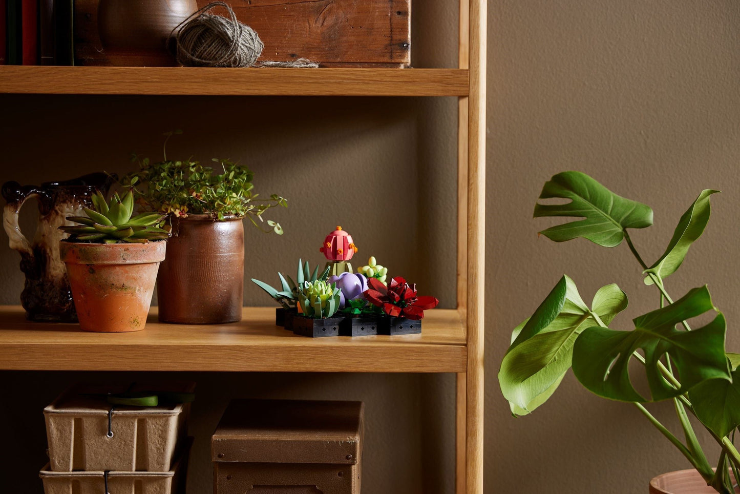 LEGO 10309 Icons Succulents - Botanical Collection