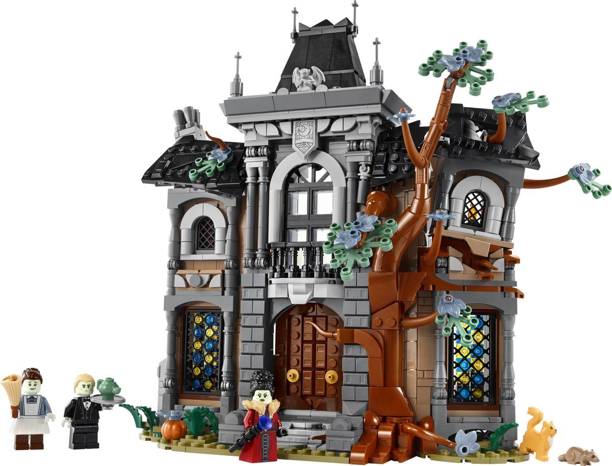 LEGO 11383 Mayor Manor - imperfect box