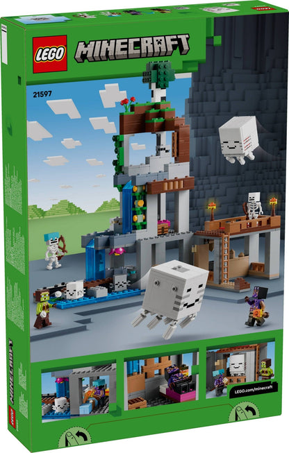 LEGO 21597 - Box rear