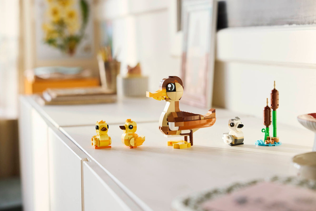 LEGO 40885 - Lifestyle display