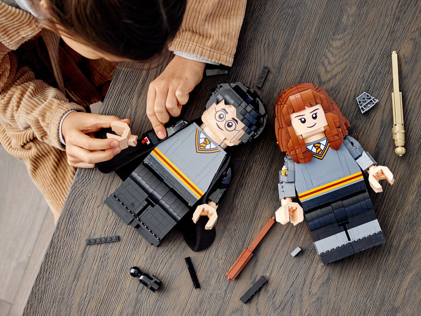 LEGO 76393 Harry Potter & Hermione Granger