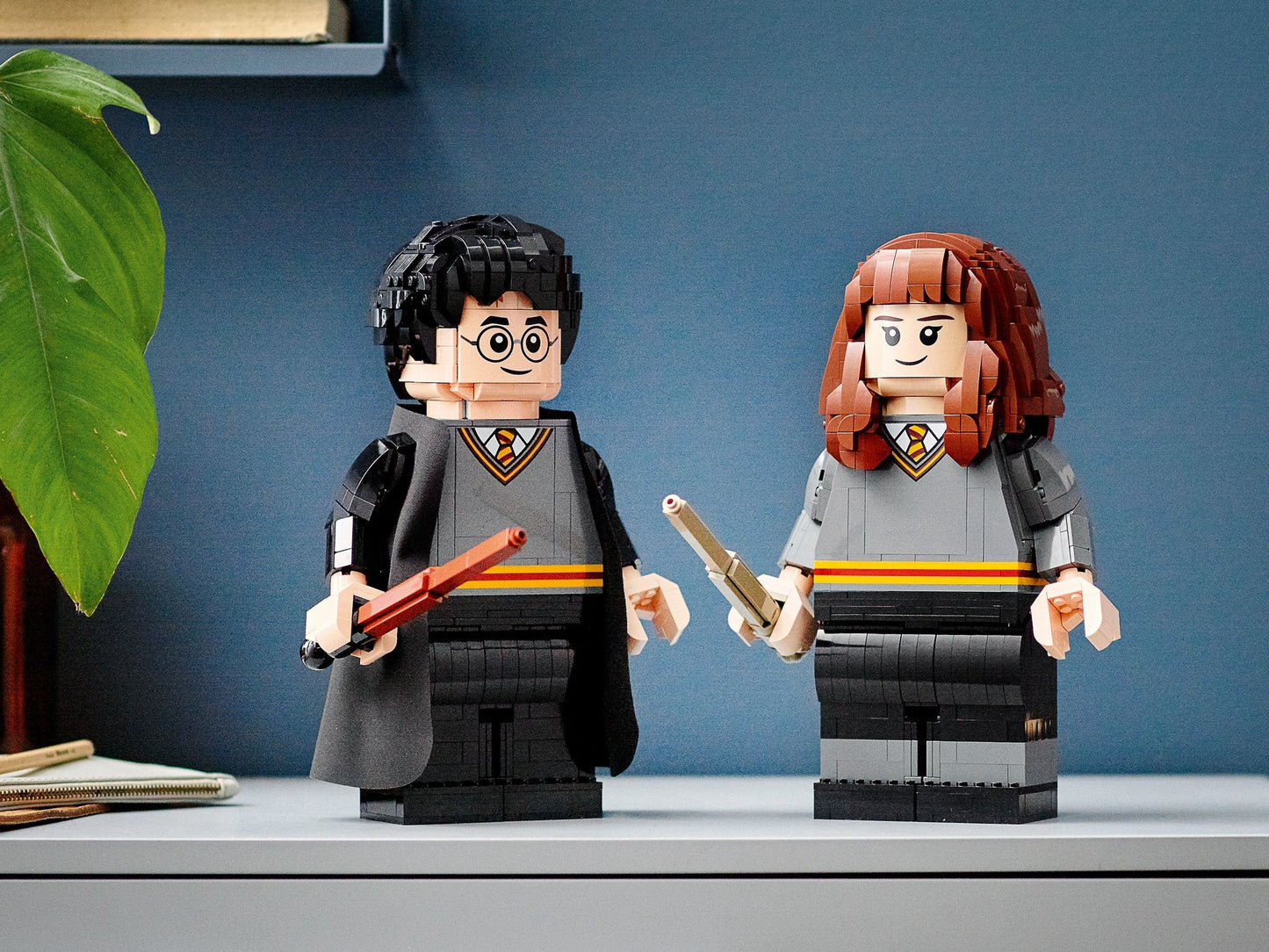 LEGO 76393 Harry Potter & Hermione Granger