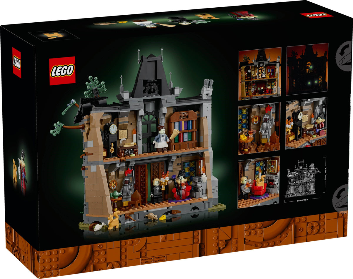 LEGO 11383 Mayor Manor - imperfect box