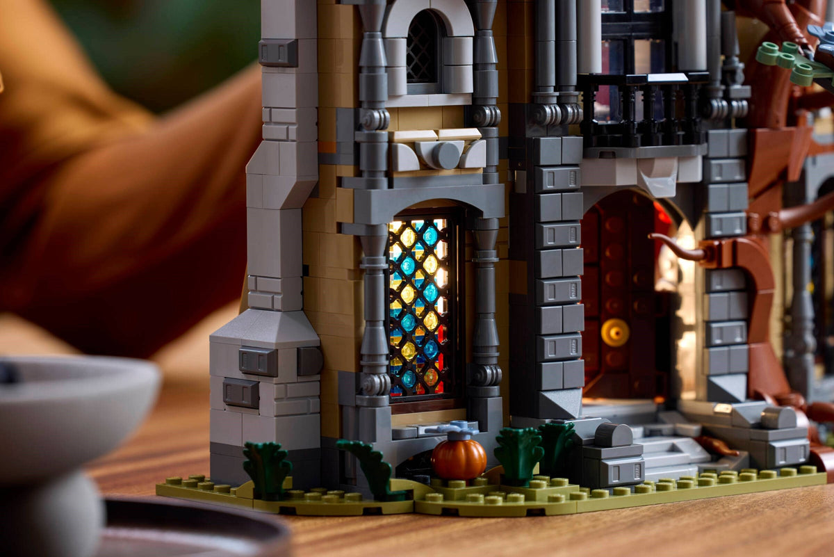 LEGO 11383 Mayor Manor - imperfect box