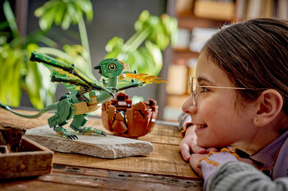 LEGO 76477 Norbert: Hagrid's Baby Dragon - imperfect box