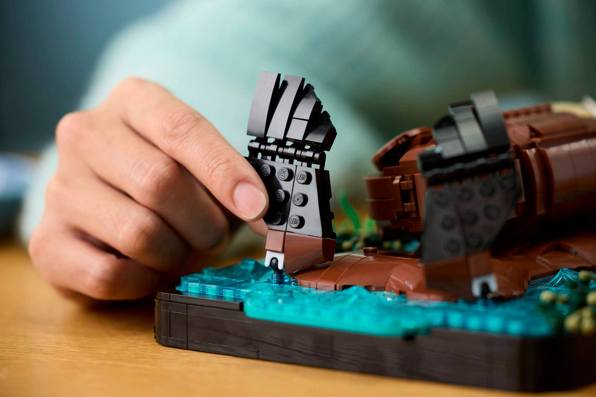 LEGO 21366 Floating Sea Otters - imperfect box