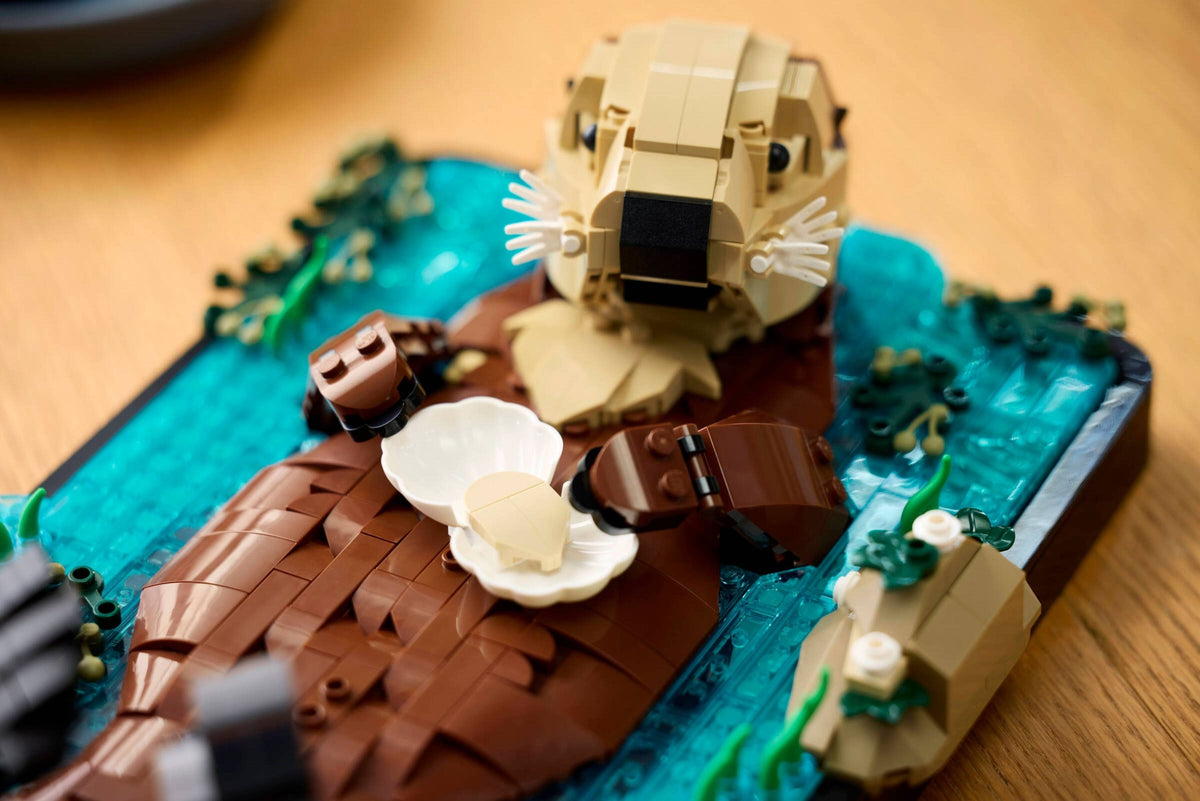 LEGO 21366 Floating Sea Otters - imperfect box
