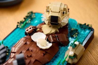 LEGO 21366 Floating Sea Otters - imperfect box