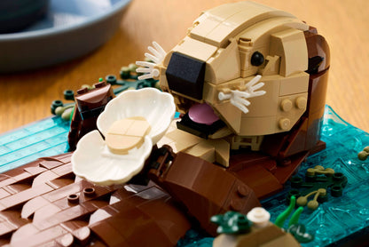 LEGO 21366 Floating Sea Otters - imperfect box