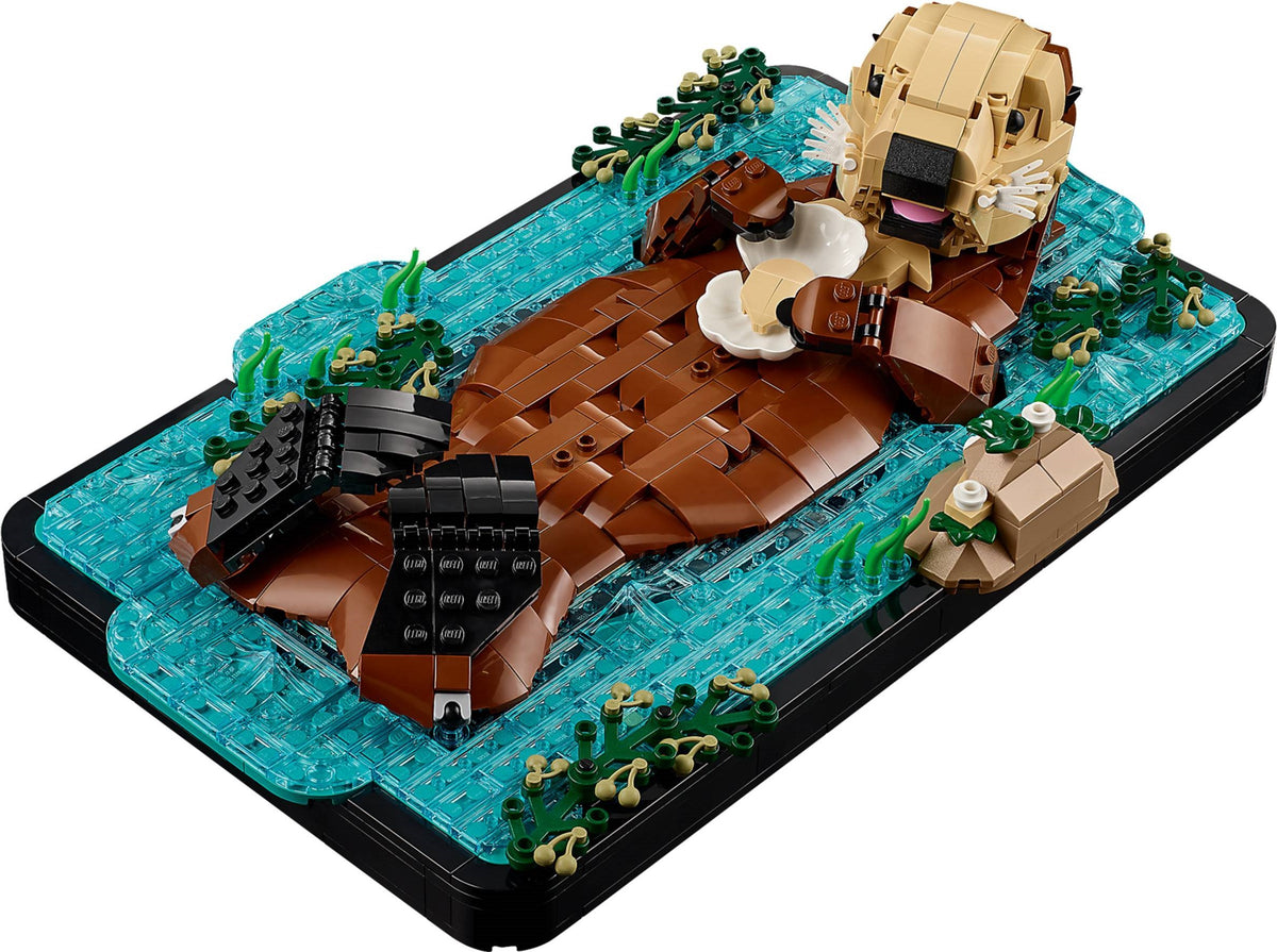 LEGO 21366 Floating Sea Otters - imperfect box
