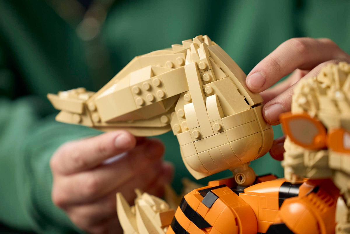 LEGO 72160 Arcanine - imperfect box